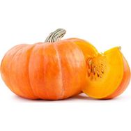 Ata Tohumculuk 5 Adet Iri Bal Kabağı Tohumu