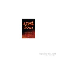 Ateşi Öpünce - Firdevs Büyükateş