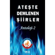 Ateşte Demlenen Şiirler Antoloji 2 Gülnar Yayınları