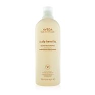Aveda Scalp Benefits Dengeleyici 1000 ml Şampuan