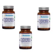 Avicenna Glukozamin Kondroitin MSM 3x90 Tablet