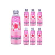 Avoya 250 ml Blend Hibiskus Meyveli Maden Suyu
