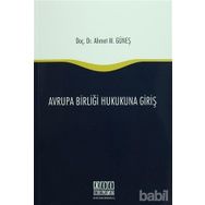 AVRUPA BIRLIĞI HUKUKUNA GIRIŞ - AHMET M. GÜNEŞ