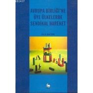 AVRUPA BİRLİĞİNDE IŞÇİLERİN SERBEST DOLAŞIM HAKKI VE TÜRK VATANDAŞLARININ DURUMU - ARIF KÖKTAŞ