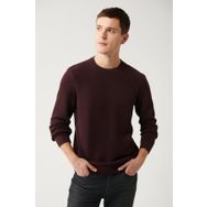 Avva A32Y5100 Bordo Erkek Kazak
