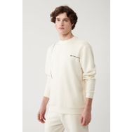 Avva A41Y1224 Ekru Erkek Sweatshirt