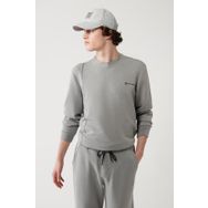 Avva A41Y1224 Gri Erkek Sweatshirt