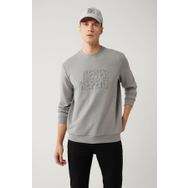 Avva A41Y1235 Gri Erkek Sweatshirt