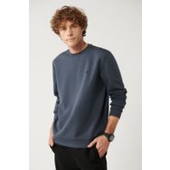 Avva B001100 Antrasit Kumaş Özellikli Erkek Sweatshirt