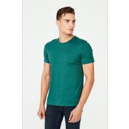 Avva E001000 Yeşil Erkek T-shirt