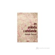 AY ASLINDA CAMDANDIR - HAMDI ÖZYURT