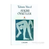 Aykırı Öyküler - Tahsin Yücel