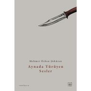 Aynada Yürüyen Sesler - Mehmet Özkan Şüküran