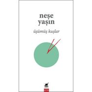Ayrıntı Yayınları Üşümüş Kuşlar