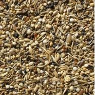 Badem Akvaryum 500 gr Sağlık Tohumu Kuş Yemi