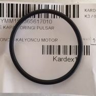 Bajaj Pulsar RS 200 Yağ Filtre Kapak Oringi