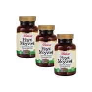 Balen Hayıt Meyvesi Ekstraktı 375 mg 3x60 Kapsül
