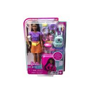 Barbie HGX55 Brooklyn Seyahat Bebeği ve Aksesuarları
