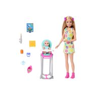 Barbie HTK35 Bebek Bakıcısı Skipper ve Aksesuarları Oyun Setleri
