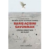 Barış Açısını Savunmak - Necmiye Alpay