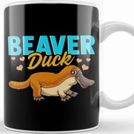 Baskı Dükkanı Beaver Duck Platypus Pun Cute Duck Billed Platypus Kupa