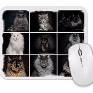 Baskı Dükkanı Cats Collection One Mouse Pad