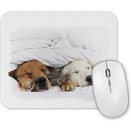 Baskı Dükkanı Cats Collection Three Mouse Pad