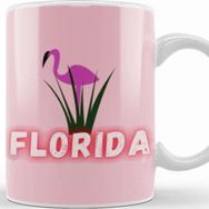 Baskı Dükkanı Florida Gift Vintage Retro Rainbow Kupa
