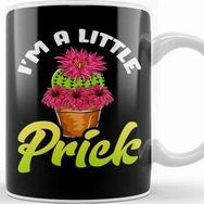 Baskı Dükkanı Funny I M A Little Prick Cactus Succulents Pun Kupa
