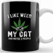 Baskı Dükkanı I Like Weed My Cat And Maybe 3 People Kedi Kupa