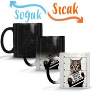 Baskı Dükkanı KB3788 Gato Bad Cat Kedi Porselen Kupa Bardak