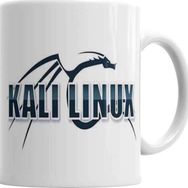 Baskı Dükkanı KB3998 Linkin Park Porselen Kupa Bardak