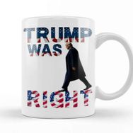 Baskı Dükkanı Trump Was Right Porselen Beyaz Kupa Bardak