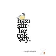 Bazı Şiirler Çok Şey - Recep Karaaslan