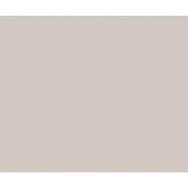 BD Backgrounds 127 Silver Gray Fon
