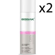 Bebak Arjinin Protein 2x200 ml Kuru Şampuan