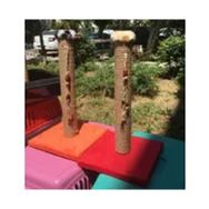 Bedspet 50 cm Tekli Kedi Tırmalama Tahtası