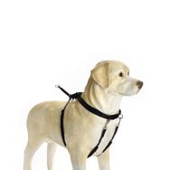 Beeztees Walker S 60 cm Yürüyüş Eğitim ve Düzeltme Köpek Tasması