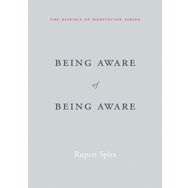 Being Aware of Being Aware: The Essence of Meditation Volume 1
