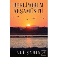 Bekliyorum Akşamüstü - Ali Şahin