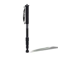 Benro C-29T Monopod