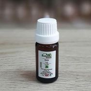 Beslenme Dedektifi 10 ml Nane Yağı