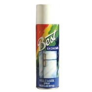Best Mat Siyah 300 ml Spray Boya