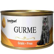 Best Pet 100 gr Gurme Jöleli Somonlu Yetişkin Kedi Konservesi