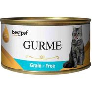 Bestpet 100 gr Gurme Jöleli Tuna Balıklı Yetişkin Konserve Kedi Maması