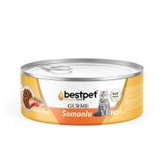 Bestpet Gurme Somon Soslu Yetişkin 85 gr Kedi Konservesi
