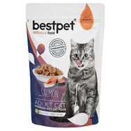 Bestpet Pouch Jelly Somon Balıklı 85 gr Kedi Yaş Maması