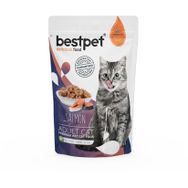 Bestpet Premium 85 gr Somonlu Kedi Pounch