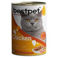 Bestpet Tavuklu Yetişkin 400 gr Konserve Kedi Maması