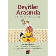 Beyitler Arasında Açıklamalı Divan Şiiri Antolojisi - Kolektif